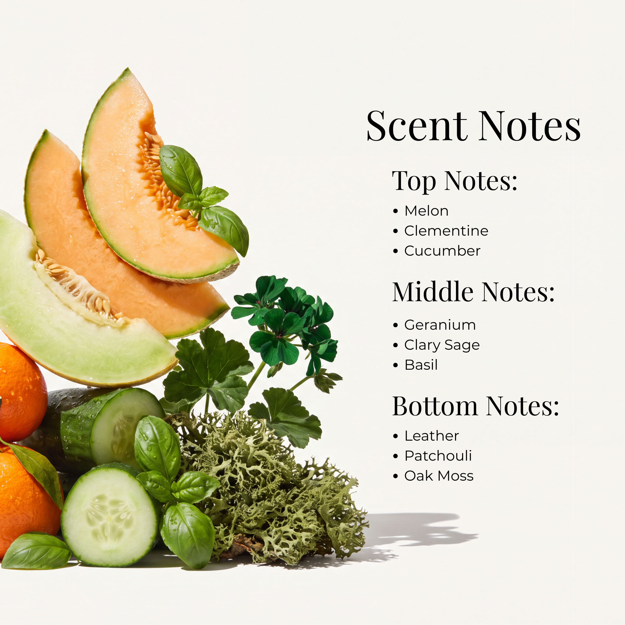 3_ac61582b-0136-47d3-a28d-e42d3ce53ffe.png
