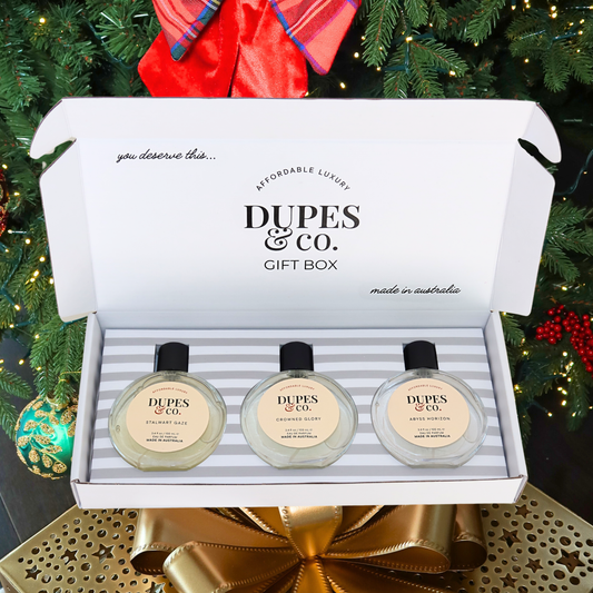 MEN'S PERFUME 100ml GIFT BOX