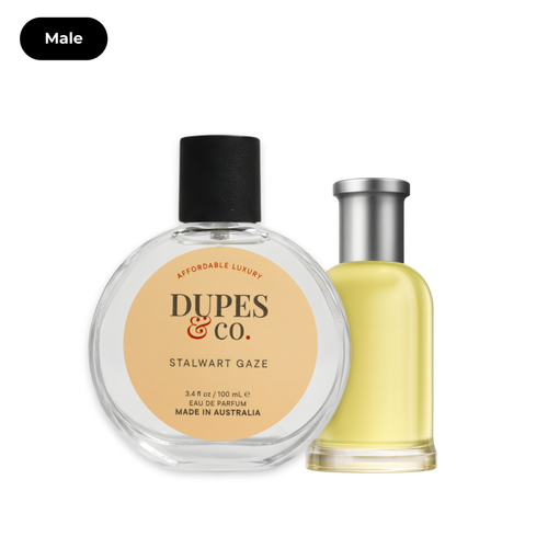 Stalwart Gaze Perfume 100ml