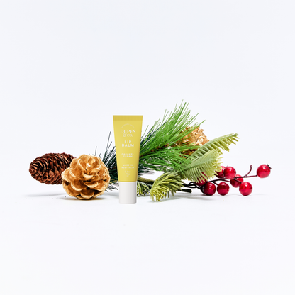 Caramel Cream Lip Balm 1pc